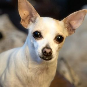 Meet your Posher, Kelly